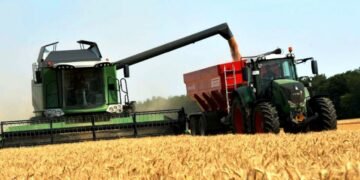 Reportan disminución en los precios mundiales de los alimentos