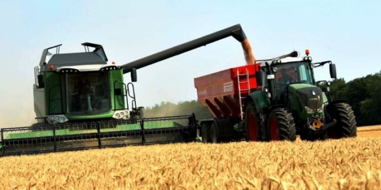 Reportan disminución en los precios mundiales de los alimentos