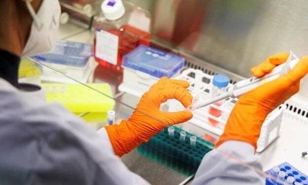 EE.UU. declara una emergencia sanitaria nacional por la viruela del mono