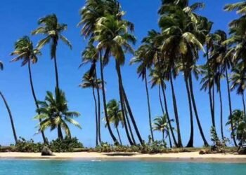 Mitur prohíbe uso de motores , caballos y aterrizaje de helicópteros en las playas de Miches.