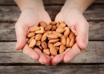 Comer almendras diariamente permite que el cuerpo se recupere más rápidamente de la actividad física
