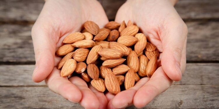 Comer almendras diariamente permite que el cuerpo se recupere más rápidamente de la actividad física
