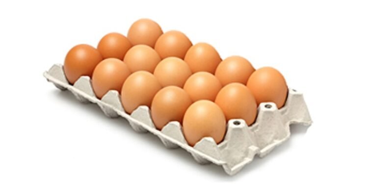 Gobierno prohíbe la exportación de huevos hacia Haití