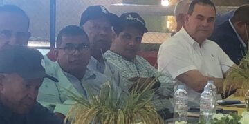 Dicen DR-CAFTA podría llevar a la quiebra miles de productores de arroz