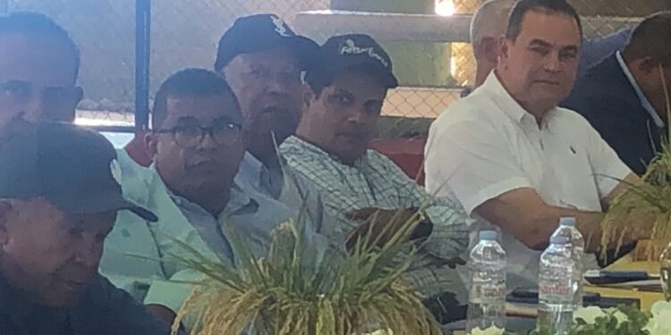 Dicen DR-CAFTA podría llevar a la quiebra miles de productores de arroz