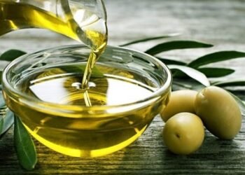 Estudio revelan consumo de aceite de orujo de oliva disminuye el colesterol y controla la obesidad