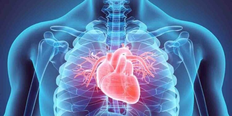 La alerta de los cardiólogos sobre el uso de suplementos de hierbas