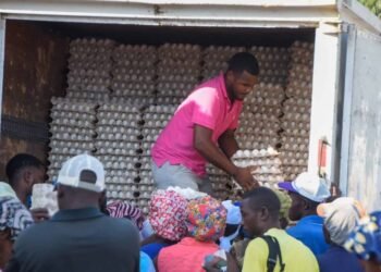 Aseguran continúan exportando huevos a Haití.