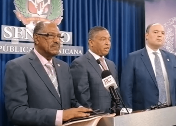 Senadores del PLD ven como favorable se enfatice sobre el transfuguismo en Ley Electoral