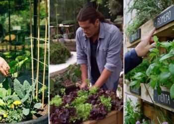 Cultivar huertos reduce riesgo de cáncer y mejora salud mental