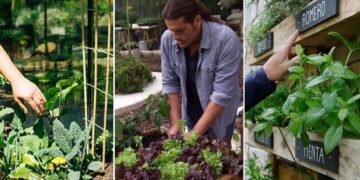 Cultivar huertos reduce riesgo de cáncer y mejora salud mental