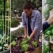 Cultivar huertos reduce riesgo de cáncer y mejora salud mental