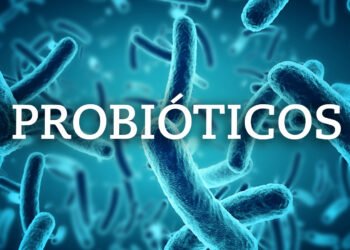 Probióticos: Su relación con la pérdida de peso y la salud digestiva