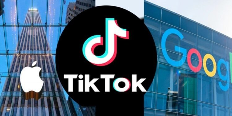 Instaron a Apple y Google a eliminar TikTok de las tiendas de aplicaciones