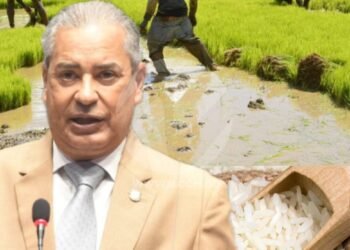 Diputado del PLD ve indiferencia del gobierno y se solidariza con arroceros de la Línea Noroeste del país