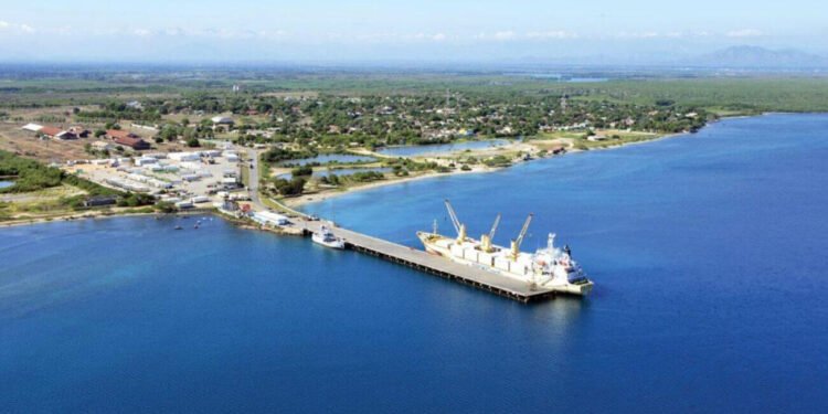 Academia de Ciencias manifiesta preocupación por construcción de plantas de proyecto energético Manzanillo