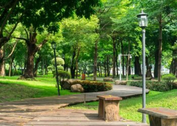 Científicos urgen a cuidar y aumentar espacios verdes para la salud humana