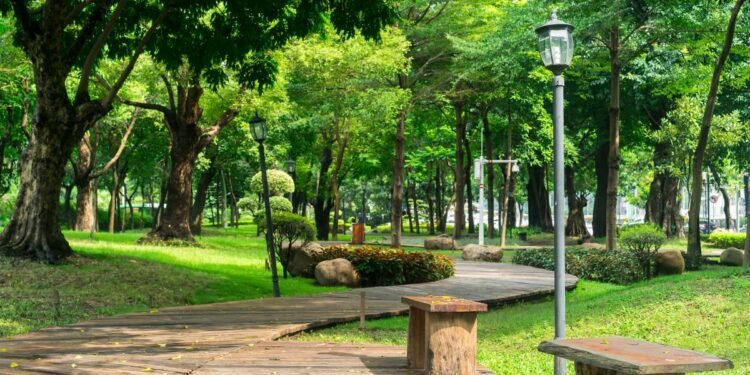 Científicos urgen a cuidar y aumentar espacios verdes para la salud humana