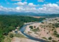 Deforestación en el «Parque Nacional Luis Quinn» amenaza la cuenca Nizao