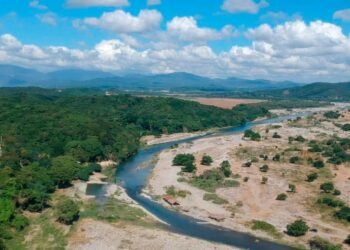 Deforestación en el «Parque Nacional Luis Quinn» amenaza la cuenca Nizao