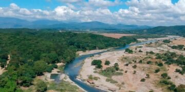 Deforestación en el «Parque Nacional Luis Quinn» amenaza la cuenca Nizao
