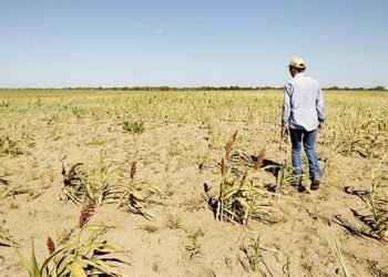 Ministerio de Agricultura toma medidas de racionalización del uso del agua ente la sequía que afecta a RD
