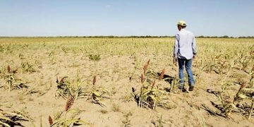 Ministerio de Agricultura toma medidas de racionalización del uso del agua ente la sequía que afecta a RD