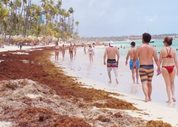 Medio Ambiente alerta sobre la amenaza del sargazo a la economía y al turismo