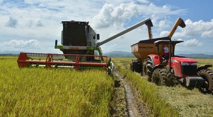 Productores de arroz dicen es innecesario crear una nueva entidad que los agrupe