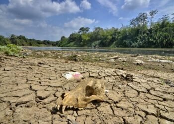 Fenómeno «El Niño» provocará sequías más severas y picos de calor