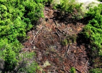 Reclaman a las autoridades República Dominicana «poner atención a destrucción cordillera»