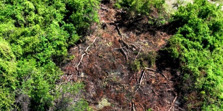 Reclaman a las autoridades República Dominicana «poner atención a destrucción cordillera»