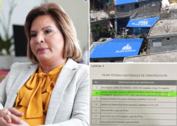 Plan Social adquirió más de tres mil zincs color azul en 2021