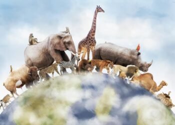 Genomas de 240 especies revelan qué hace único al genoma humano