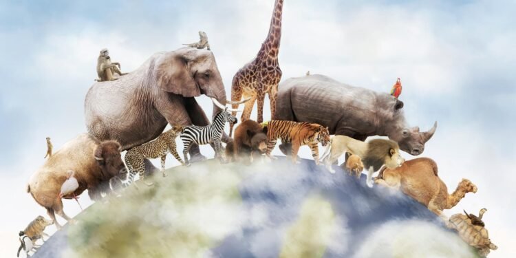 Genomas de 240 especies revelan qué hace único al genoma humano