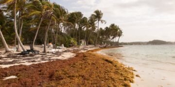 Bávaro-Punta Cana, zona de RD con mayor reporte de sargazos en 2023