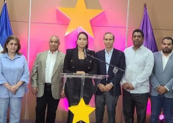 PLD tilda «ficticias» declaraciones Abinader sobre criminalidad RD