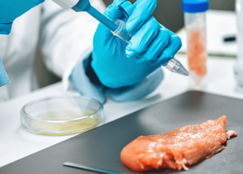 EEUU aprueba venta de «carne cultivada» de pollo