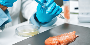 EEUU aprueba venta de «carne cultivada» de pollo