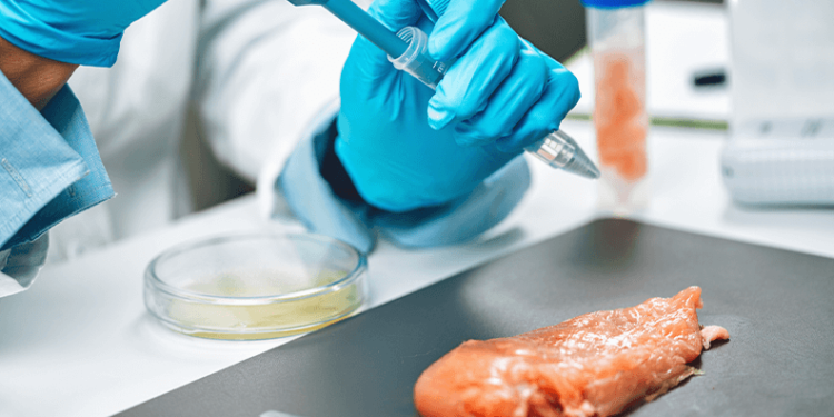 EEUU aprueba venta de «carne cultivada» de pollo