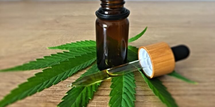 Científicos hallan componente medicinal de cannabis en planta de Brasil