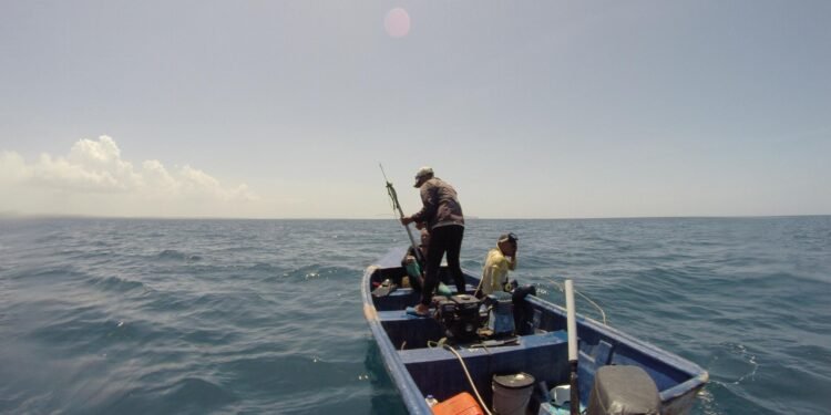 Pescadores en RD utilizan compresor pese a prohibición por decreto presidencial.