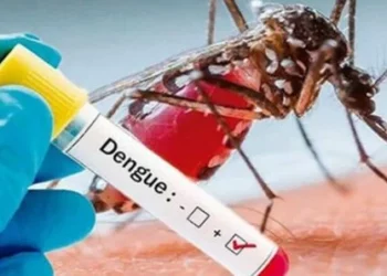 La OMS alerta del aumento de casos de dengue por el calentamiento global
