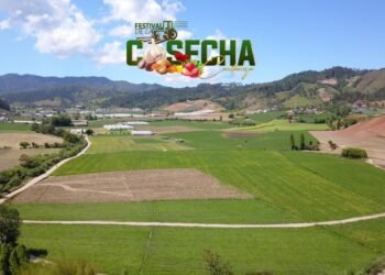 Celebran en Constanza el festival «Cosecha 2023» con homenaje a las colonias japonesa y española