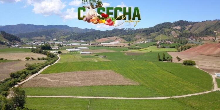 Celebran en Constanza el festival «Cosecha 2023» con homenaje a las colonias japonesa y española