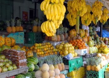 Una fruta para cada día de la semana