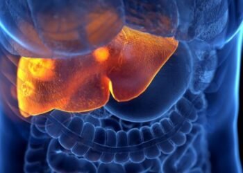 OMS: La hepatitis podría ser más letal que la malaria, la tuberculosis y el sida en 2040