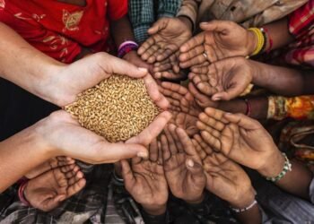 Informe de la FAO destaca el crecimiento del hambre en el mundo