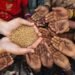 Informe de la FAO destaca el crecimiento del hambre en el mundo