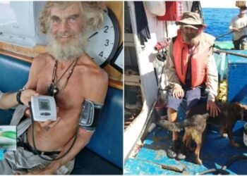 Naufrago australiano rescatado relata cómo fue estas meses a la deriva junto a su perra